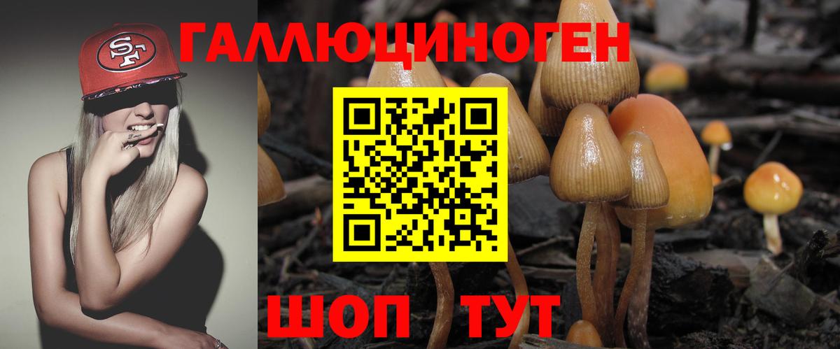 Дербент  Галлюциногенные грибы Magic Shrooms  Галлюциногенные грибы Magic Shrooms  Вход с VPN 
